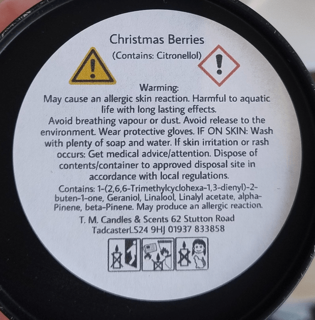 Christmas Berries Candle